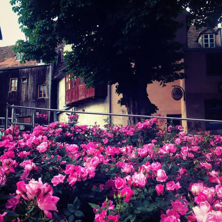 Apartment History ซาเกร็บ ภายนอก รูปภาพ
